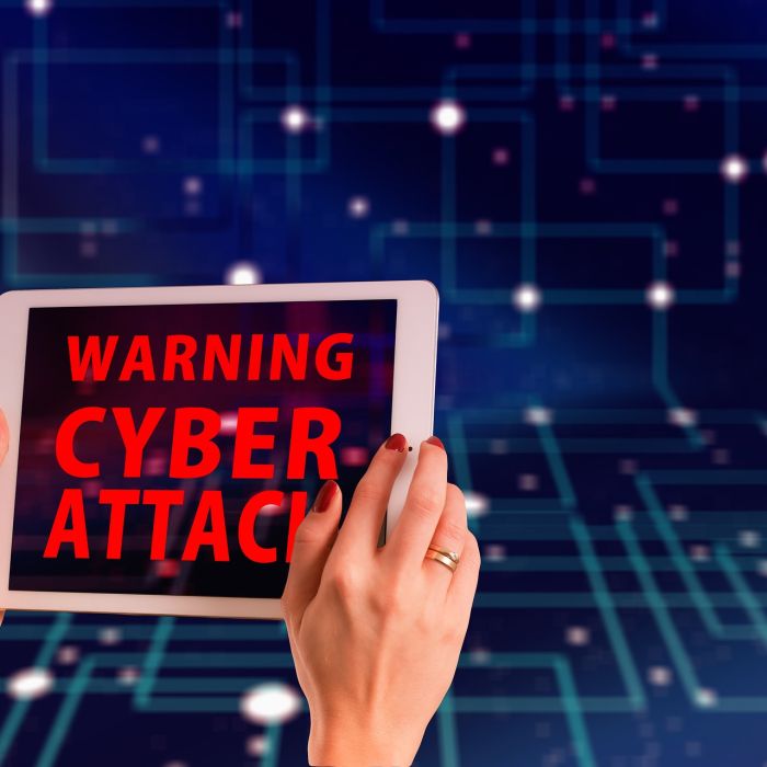 Your Step-by-Step Guide to Surviving a Cyberattack